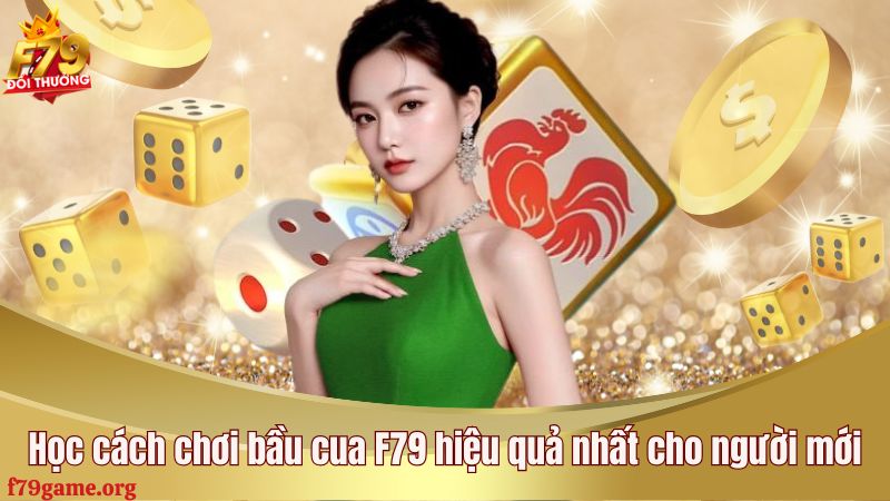 Học cách chơi bầu cua F79 hiệu quả nhất cho người mới